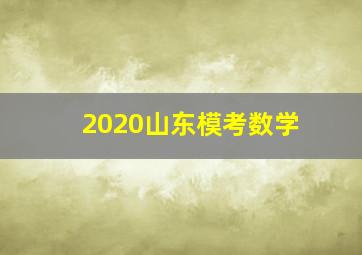 2020山东模考数学