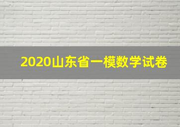 2020山东省一模数学试卷