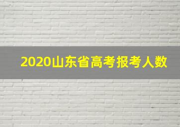 2020山东省高考报考人数