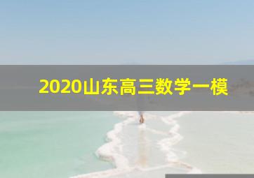 2020山东高三数学一模