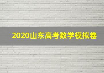 2020山东高考数学模拟卷