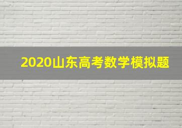 2020山东高考数学模拟题