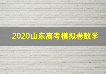 2020山东高考模拟卷数学