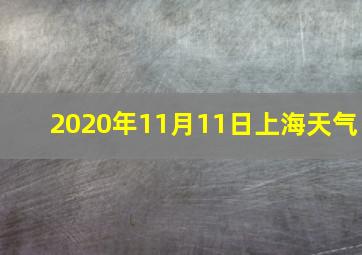 2020年11月11日上海天气