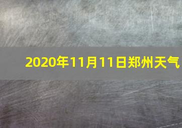 2020年11月11日郑州天气