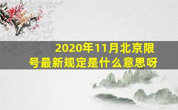 2020年11月北京限号最新规定是什么意思呀