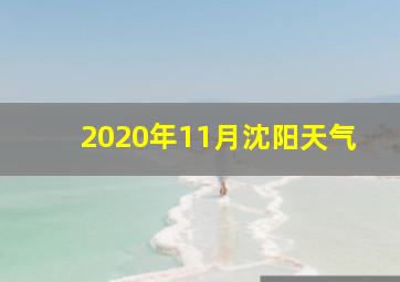 2020年11月沈阳天气