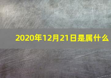 2020年12月21日是属什么