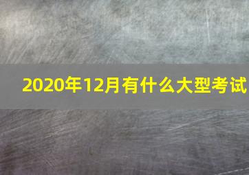 2020年12月有什么大型考试