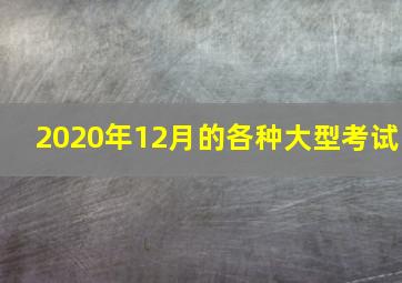 2020年12月的各种大型考试