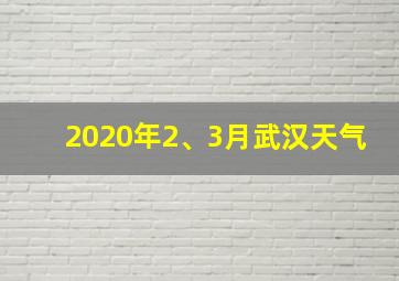 2020年2、3月武汉天气