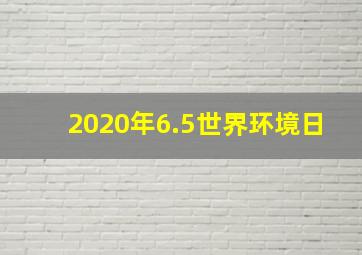 2020年6.5世界环境日