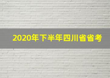 2020年下半年四川省省考