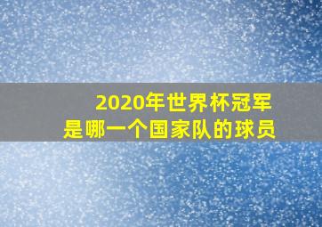 2020年世界杯冠军是哪一个国家队的球员