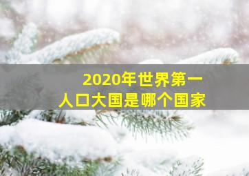 2020年世界第一人口大国是哪个国家