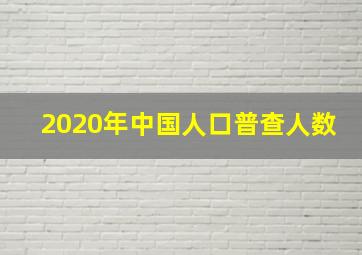 2020年中国人口普查人数