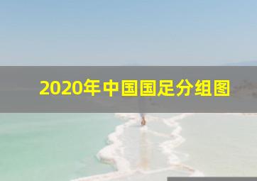 2020年中国国足分组图