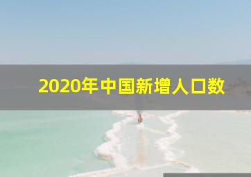 2020年中国新增人口数