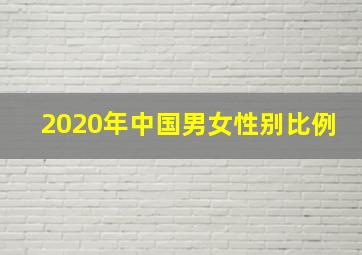 2020年中国男女性别比例