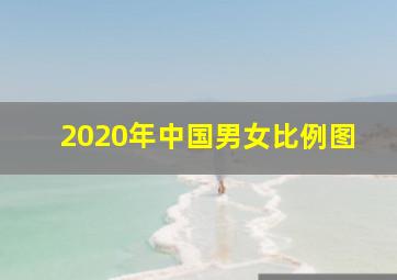 2020年中国男女比例图