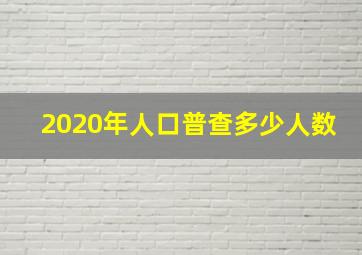 2020年人口普查多少人数