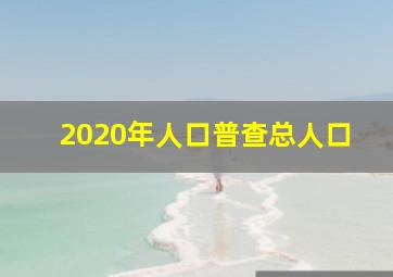 2020年人口普查总人口