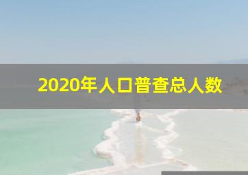 2020年人口普查总人数