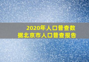 2020年人口普查数据北京市人口普查报告