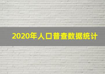 2020年人口普查数据统计