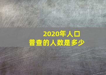 2020年人口普查的人数是多少