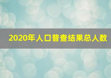 2020年人口普查结果总人数