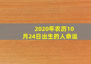 2020年农历10月24日出生的人命运