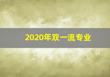 2020年双一流专业