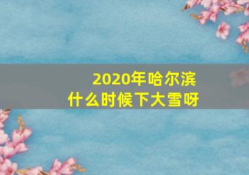 2020年哈尔滨什么时候下大雪呀