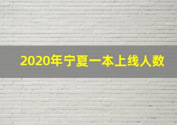 2020年宁夏一本上线人数