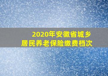 2020年安徽省城乡居民养老保险缴费档次