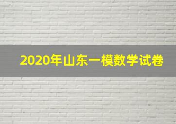 2020年山东一模数学试卷