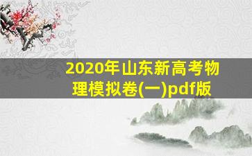 2020年山东新高考物理模拟卷(一)pdf版