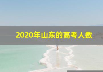 2020年山东的高考人数