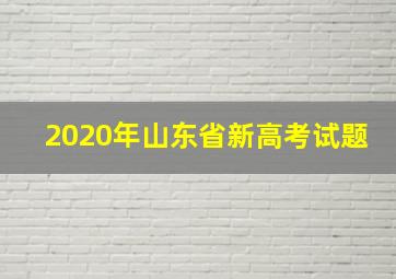 2020年山东省新高考试题