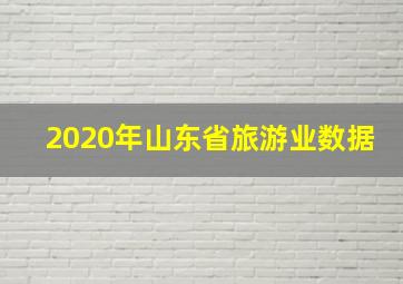 2020年山东省旅游业数据