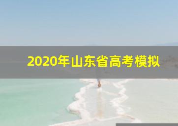 2020年山东省高考模拟