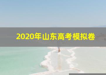 2020年山东高考模拟卷