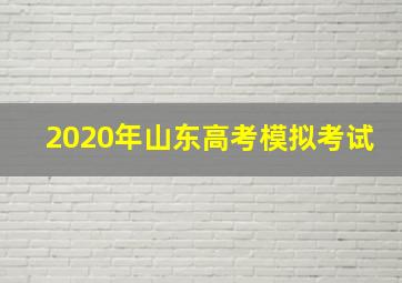 2020年山东高考模拟考试