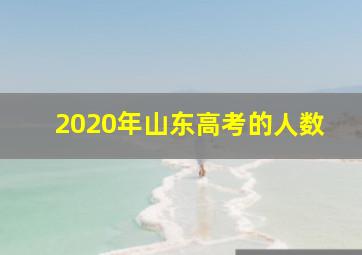 2020年山东高考的人数