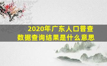 2020年广东人口普查数据查询结果是什么意思