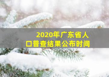 2020年广东省人口普查结果公布时间