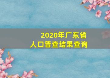 2020年广东省人口普查结果查询