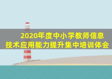 2020年度中小学教师信息技术应用能力提升集中培训体会