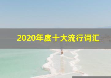 2020年度十大流行词汇